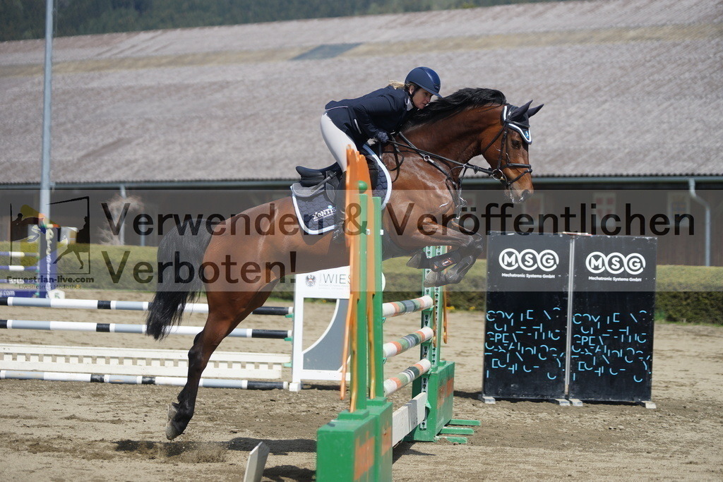 DSC02562 | equestrian-live-com