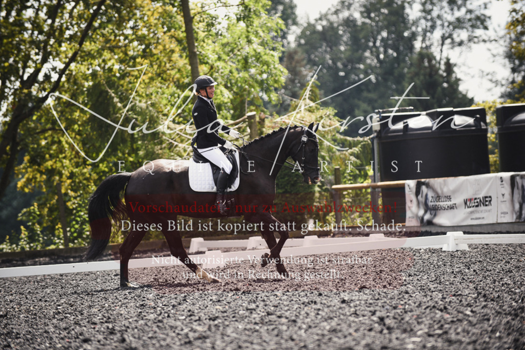 DSC_4260 | Pferde- und Turnierfotografie in Westsachsen. Pferdeportraits, Auftragszeichnungen und intuitive Kunst.