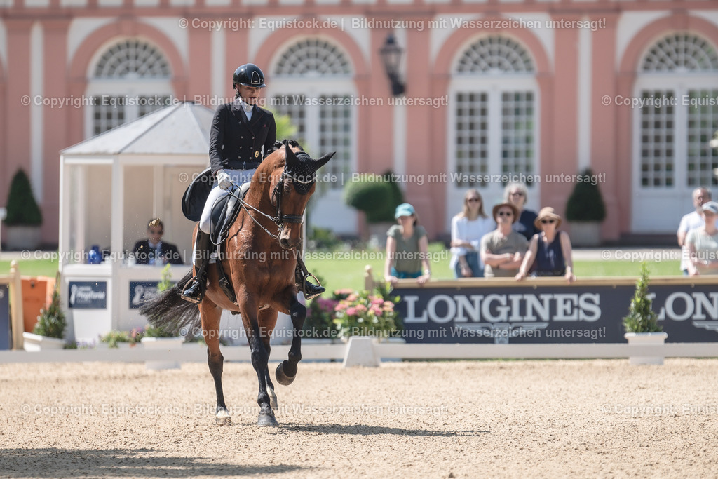 20230529_29_Louisdor_0104 | equistock