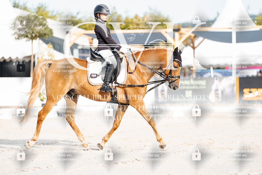 CK903644 | Turnierfotografie Pferdefotografie Trier Rheinland-Pfalz Pferdesport Reitsport Tierfotografie Sportfotografie Pferdevideo Pferdevideografie Equestrianvideography equestrianphotography  - Realisiert mit Pictrs.com