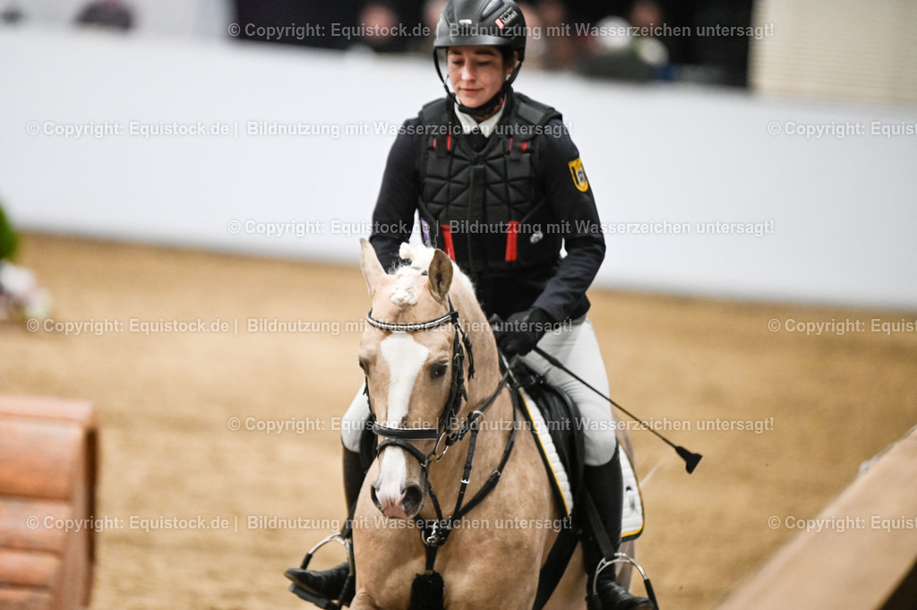 20260307_Hengstvorstellung-Marbach_0398 | equistock