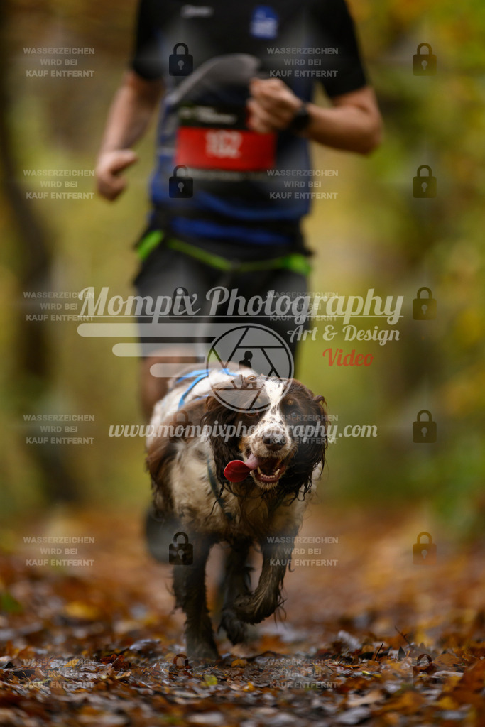 MompixPhotography_CD7S_DI_CCL-127 | mompixphotography