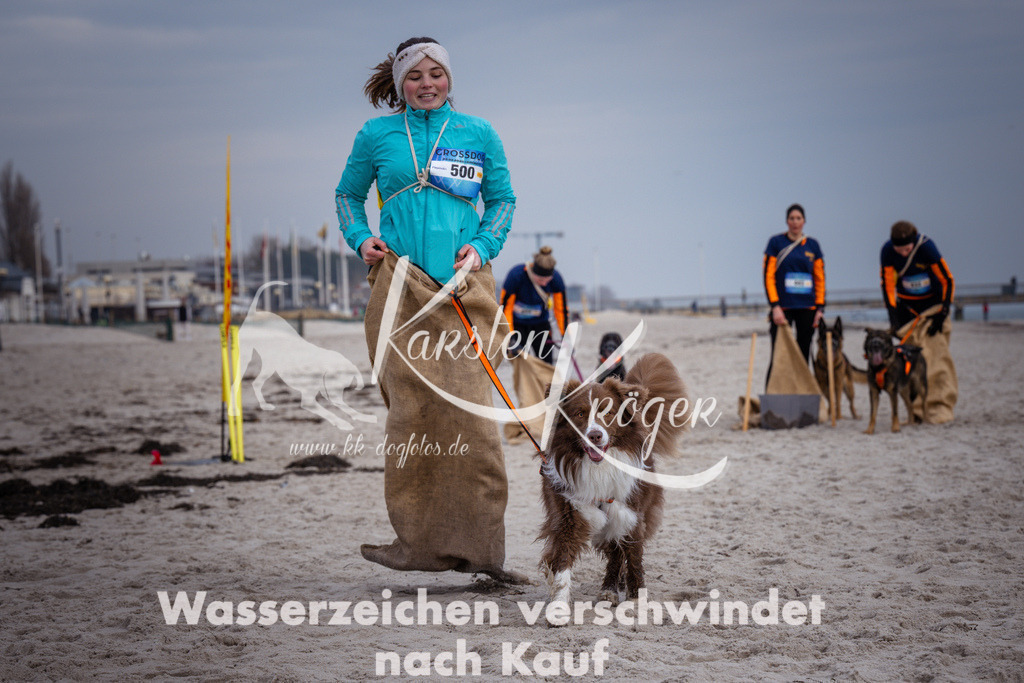1256_ZZ97056 | kk-dogfotos