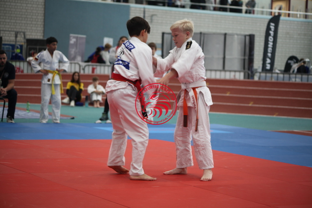 IMG_0755 | Fotos vom Adler Cup - Pictures from Adler Cup

Hier findet Ihr alle Eindrücke und großen Momente der Adler Cup Wochenenden. Here you will find all impressions and great moments of the Adler Cup weekends. - Realisiert mit Pictrs.com