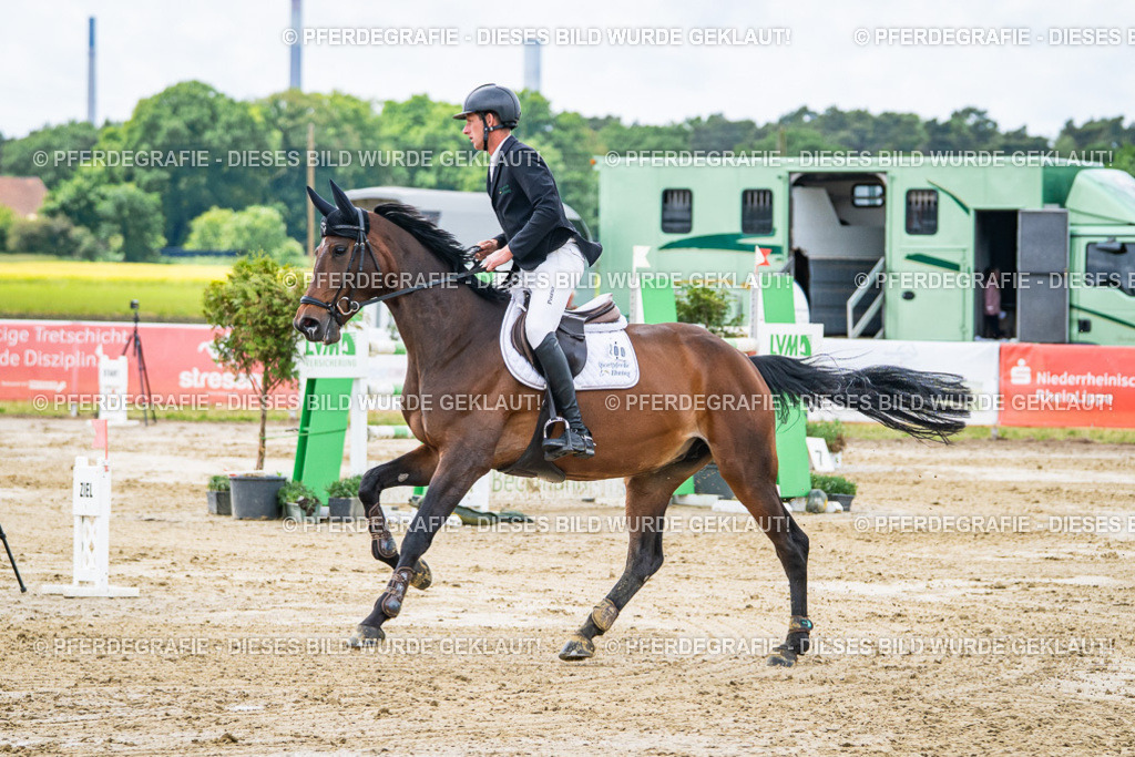 DSC04713 | Pferdegrafie