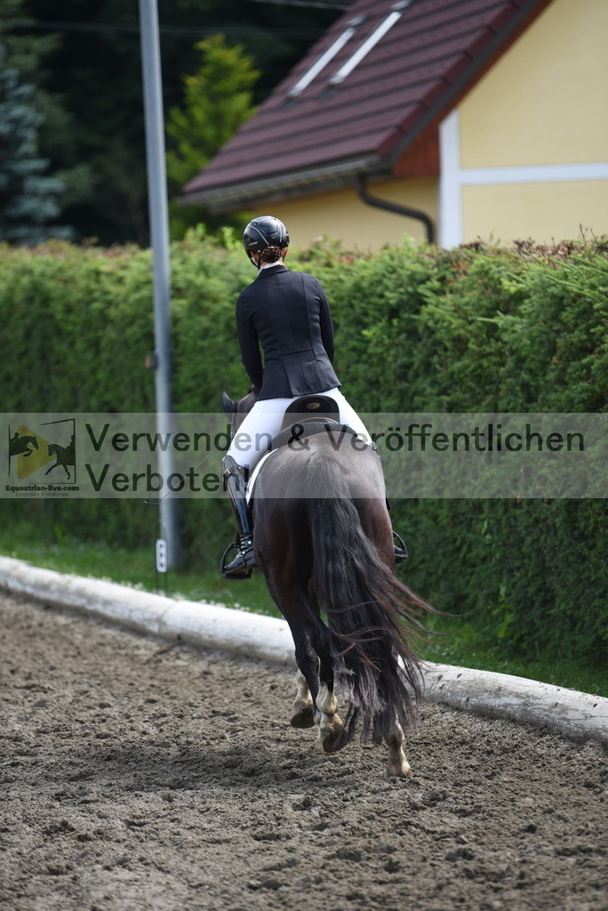 DSC_0557 | equestrian-live-com