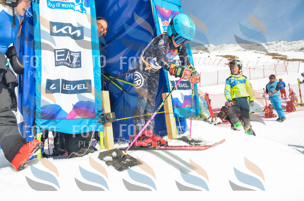 _ELE5636 | holidayphoto