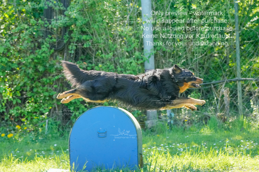 Sa_VK3_03-17 | stephaniefillaphotographie - Realisiert mit Pictrs.com