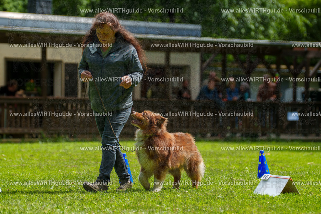 @allesWIRTHgut_Tierfotografie - www.allesWIRTHgut.de - 7R500831 | Professionelle Tierfotografie in Mönchengladbach von Daniel Wirth (allesWIRTHgut). Liebevolle & natürliche Bilder von Hunden & Katzen für unvergessliche Erinnerungen.