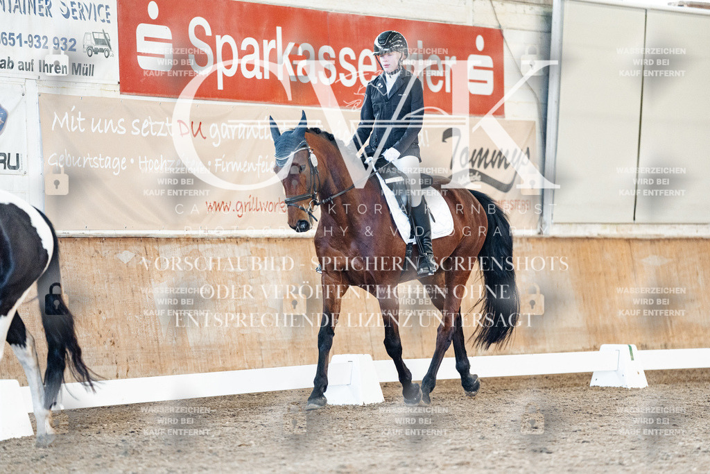 CK907696 | Turnierfotografie Pferdefotografie Trier Rheinland-Pfalz Pferdesport Reitsport Tierfotografie Sportfotografie Pferdevideo Pferdevideografie Equestrianvideography equestrianphotography  - Realisiert mit Pictrs.com