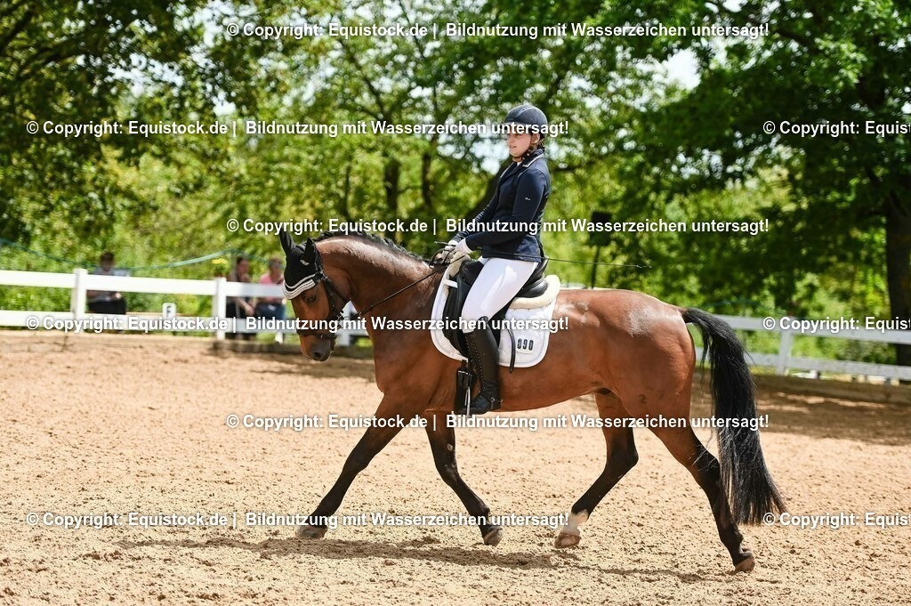 20230716_03_Dressurprfg. Kl.L - Tr._0662 | equistock