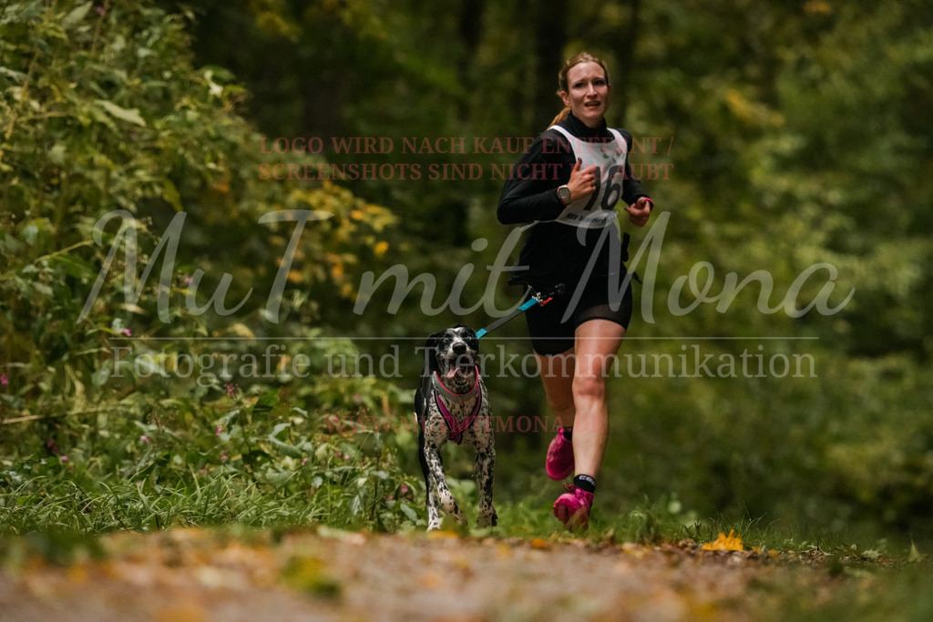 20251005_THS_Turnier-145 | MuT (Mensch und Tier) mit Mona - Fotografie und Tierkommunikation - Realisiert mit Pictrs.com