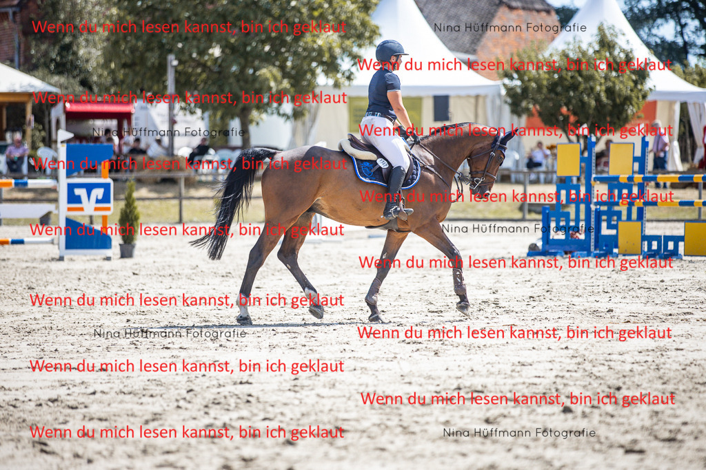 BK1A6475 | Turnierbilder Turnierfotos Nina Hüffmann Turnierfotografie Pferdefotografie Tierzeichnung Haustierzeichnung Pferdezeichnung Hundezeichnung Videograf  - Realisiert mit Pictrs.com