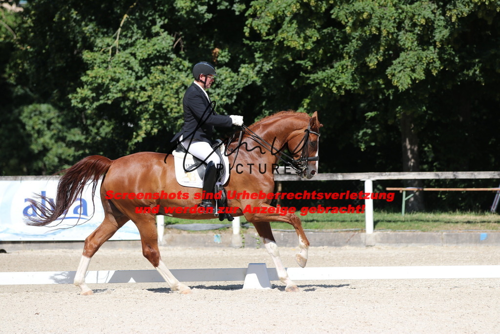 IMG_5454 | lmwpictures - Realisiert mit Pictrs.com