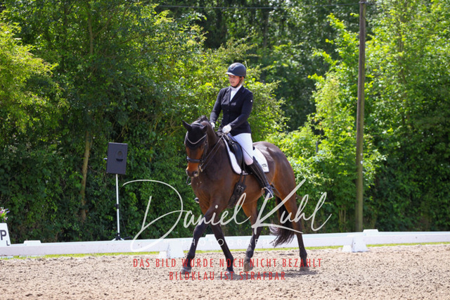 DKP41002 | Turnierfotos kaufen im Webshop von Daniel Kuhl Photography – entdecke professionelle Reitsportfotos aus Turnieren & Events. Hochwertige Turnierbilder online bestellen & sichern. Jetzt Fotos von Reitsportturnieren kaufen!