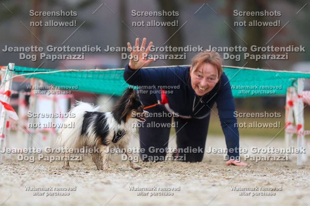 Dog Paparazzi - Strongdog North Mrz26-3646 | Dog Paparazzi Jeanette Grottendiek Fotografie & Videografie - Realisiert mit Pictrs.com
