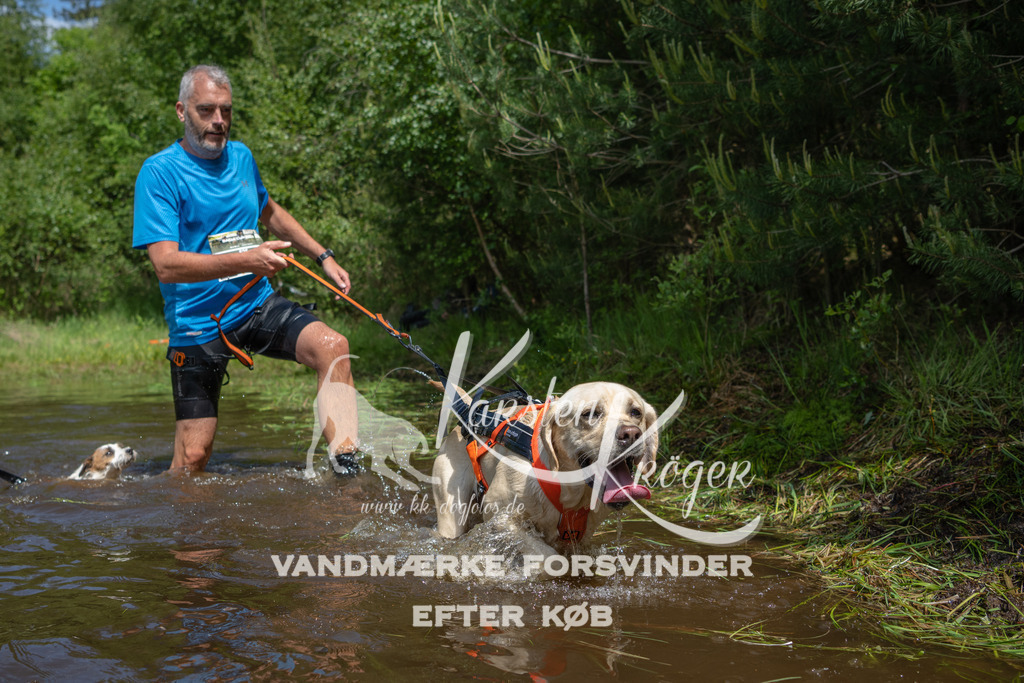 1204DKK991712 | kk-dogfotos