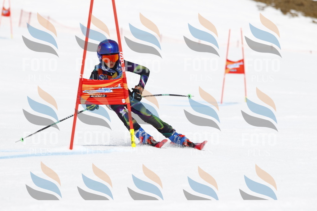 _U3G6675 | holidayphoto