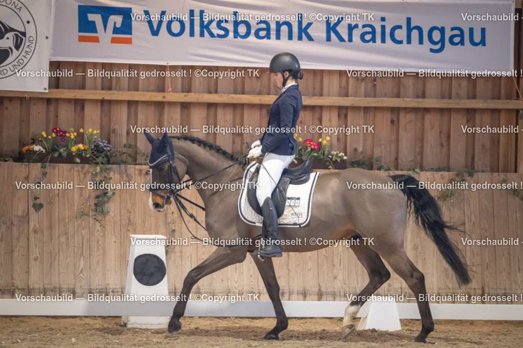 _D5A2450 | Emotionale Pferde- & People-Fotografie rund um Heidelberg, Leimen & Umgebung. Natürliche Fotos von Pferd, Mensch & Familie. Jetzt Termin sichern!