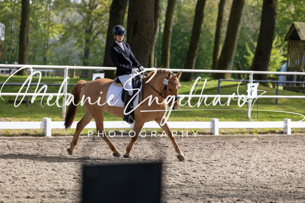7I8A0536 | melanie-engelhardt-photography - Realisiert mit Pictrs.com