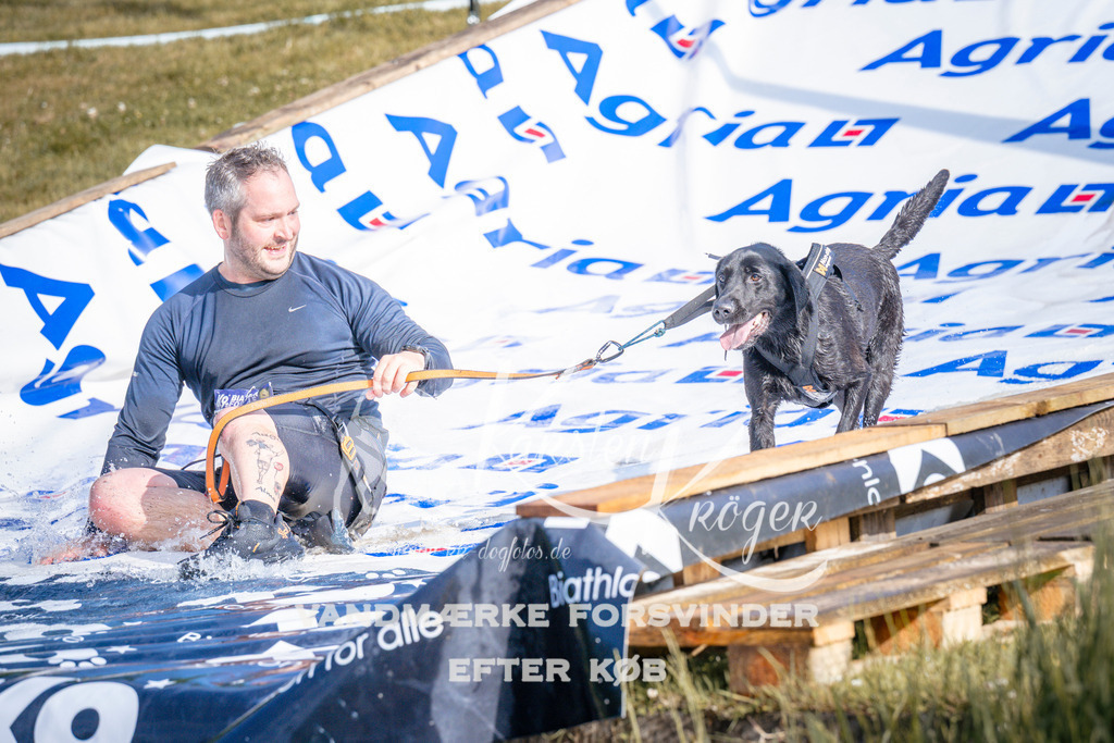 _ZZ958890729 | kk-dogfotos