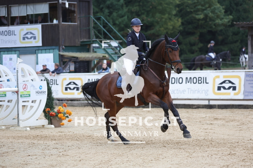 0P6A6438 | Willkommen bei Brunnmayr - Design & Fotografie – Ihrem Spezialisten für Reitturniere und Pferdeveranstaltungen in Oberösterreich, Salzburg und Bayern! Seit über 17 Jahren sind wir leidenschaftlich dabei.