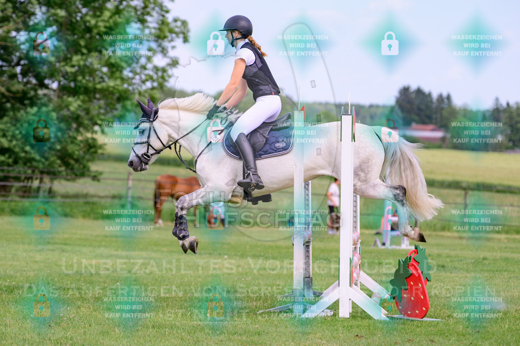 30052026-Forstinning-Prfg20-0510 | Fokus Hufschlag Fotografie - Realisiert mit Pictrs.com