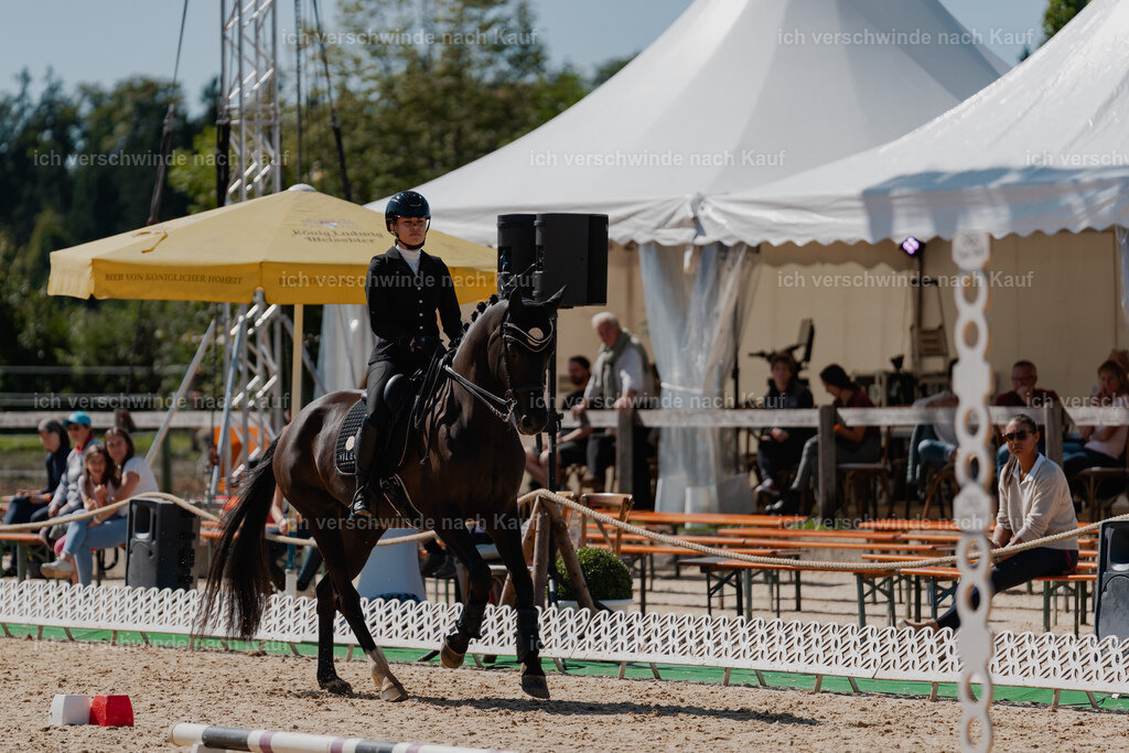 Leonie24_FHC2025-23 | working equitationturnier fotograf videograf stoibphotography marixx film working equitation deutschland reitsport turnierfotografie eventfotografie equestrian events