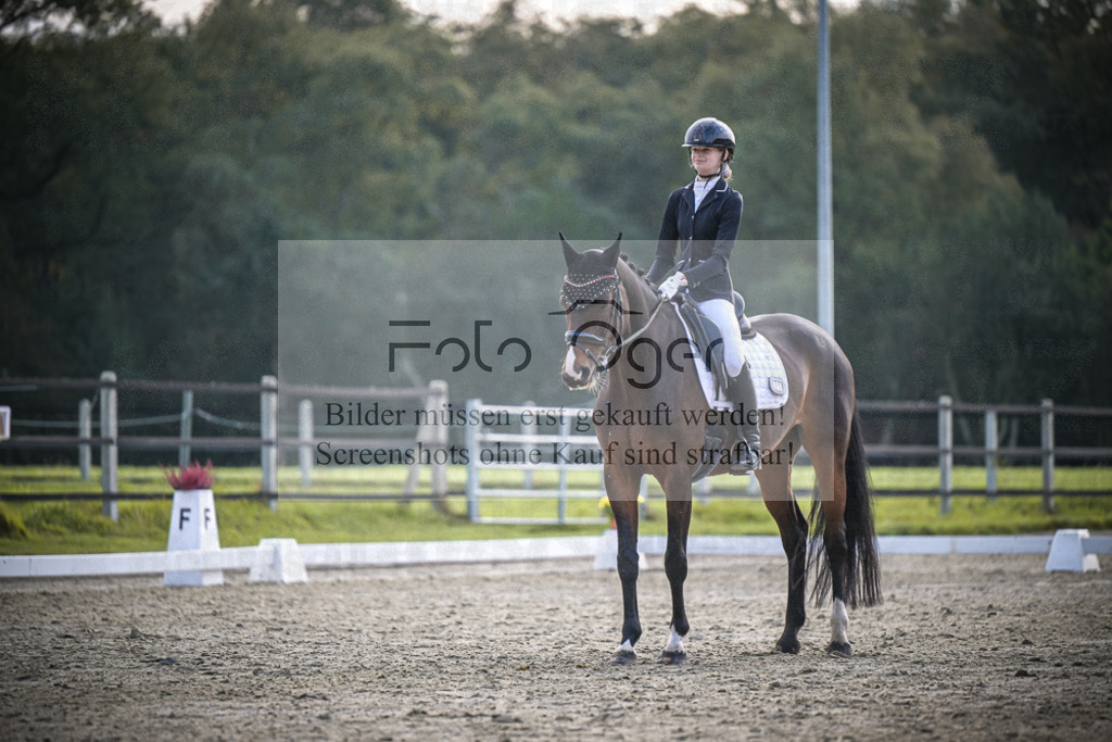 DOS_B077 | Entdecke hochwertige Reitturnierfotos von Foto Oger. Professionell, emotional und authentisch – jetzt Lieblingsmomente im Shop bestellen.Deutschlandweite Turnierfotografie. - Realisiert mit Pictrs.com