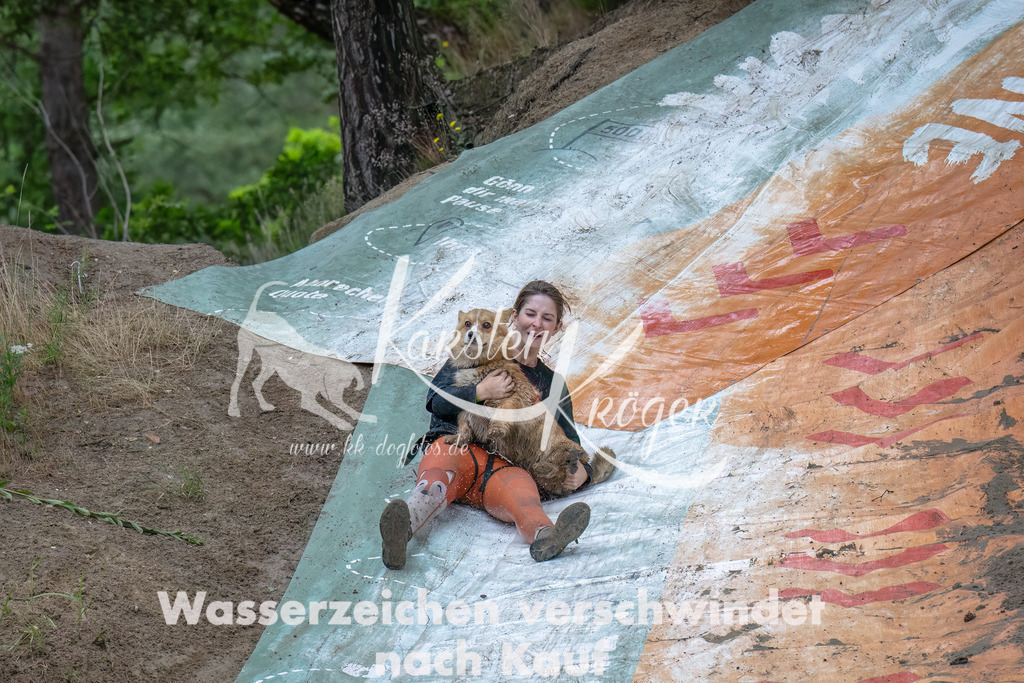 1442_ZZ91371-Bearbeitet | kk-dogfotos