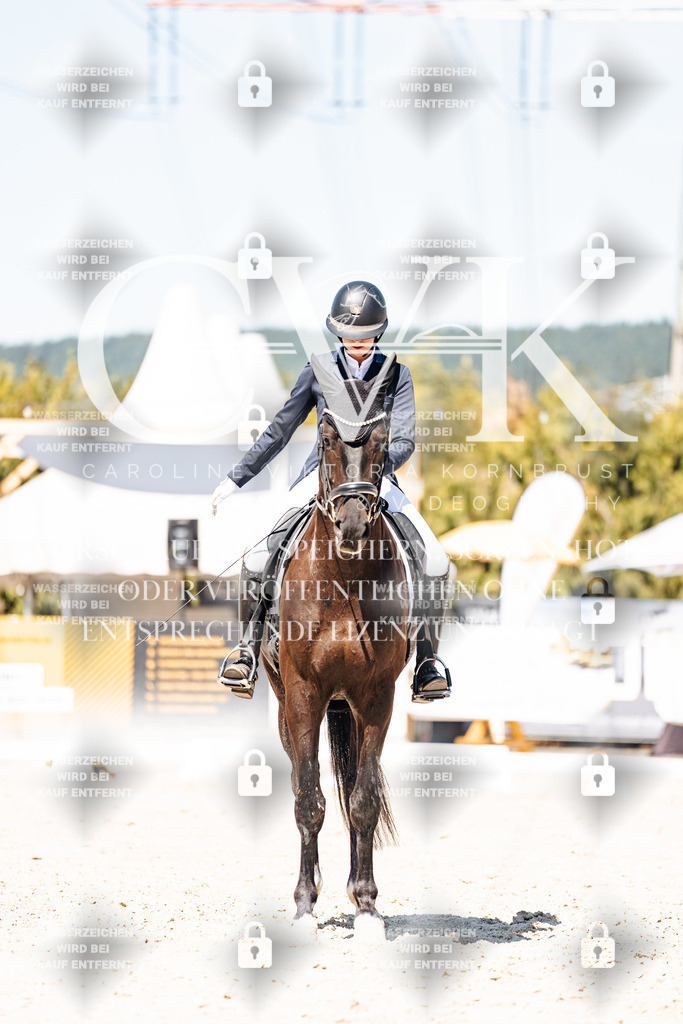 CK900330 | Turnierfotografie Pferdefotografie Trier Rheinland-Pfalz Pferdesport Reitsport Tierfotografie Sportfotografie Pferdevideo Pferdevideografie Equestrianvideography equestrianphotography  - Realisiert mit Pictrs.com
