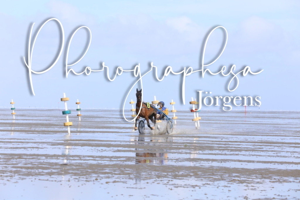 IMG_7973 | photographesa-joergens - Realisiert mit Pictrs.com