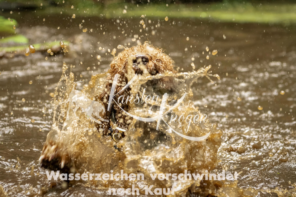 1218_ZZ93756-Bearbeitet | kk-dogfotos