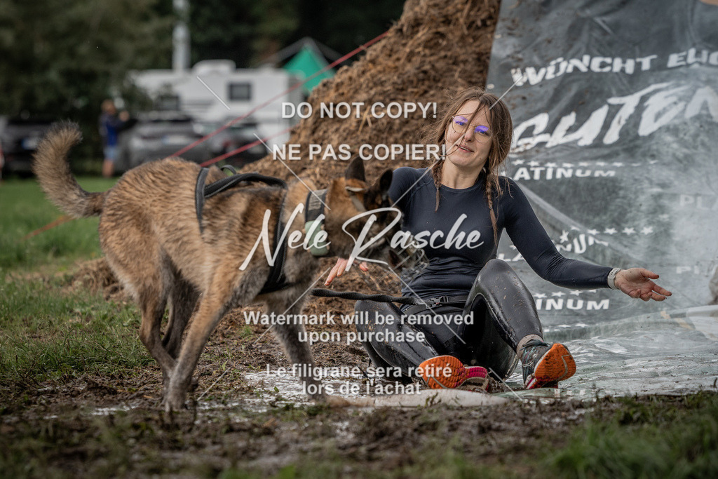 nelerasche_Wingst_Sa1300-1330_281 | nelerasche