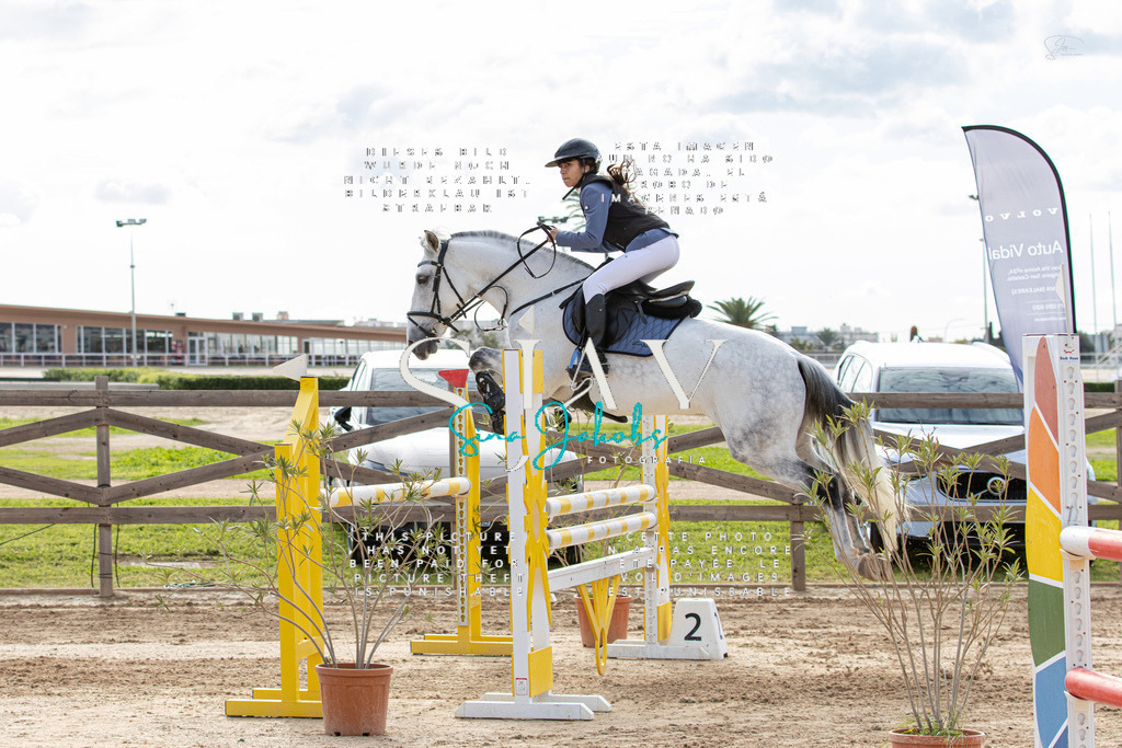 IMG_3397 | s-jay-photography - Realisiert mit Pictrs.com