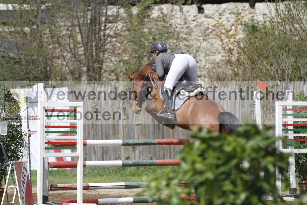 _MG_7493 | equestrian-live-com