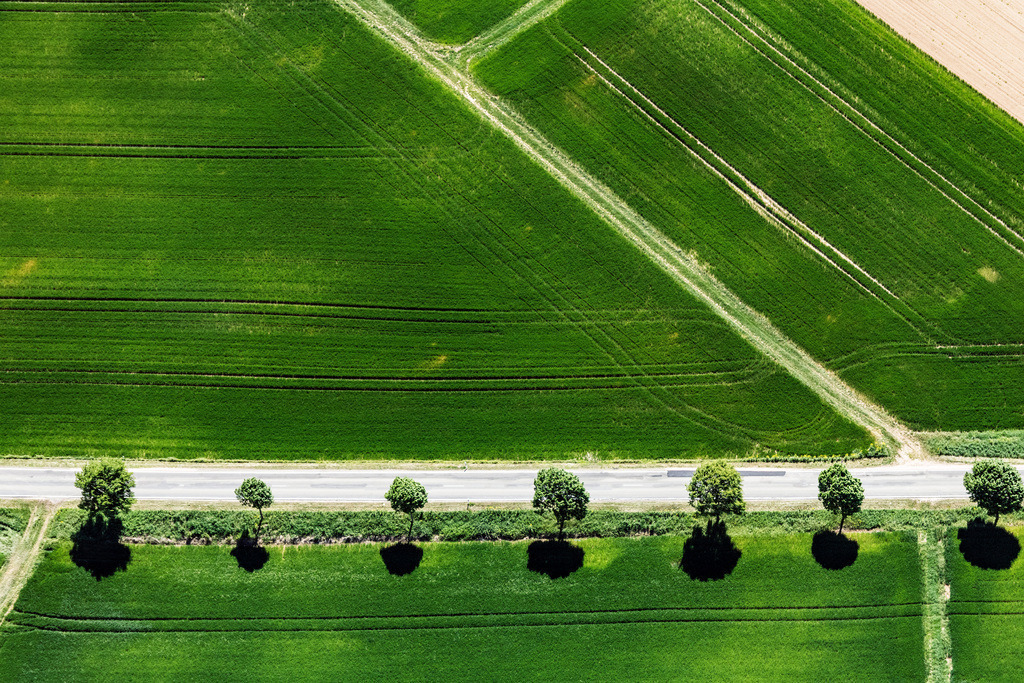 dr__dsc9693.jpg | APPENHEIM 08.05.2018 Baumreihe an einer Landstraße an einem Feldrand in Appenheim im Bundesland Rheinland-Pfalz, Deutschland. // Row of trees on a country road on a field edge in Appenheim in the state Rhineland-Palatinate, Germany. Foto: Daniel Reiter