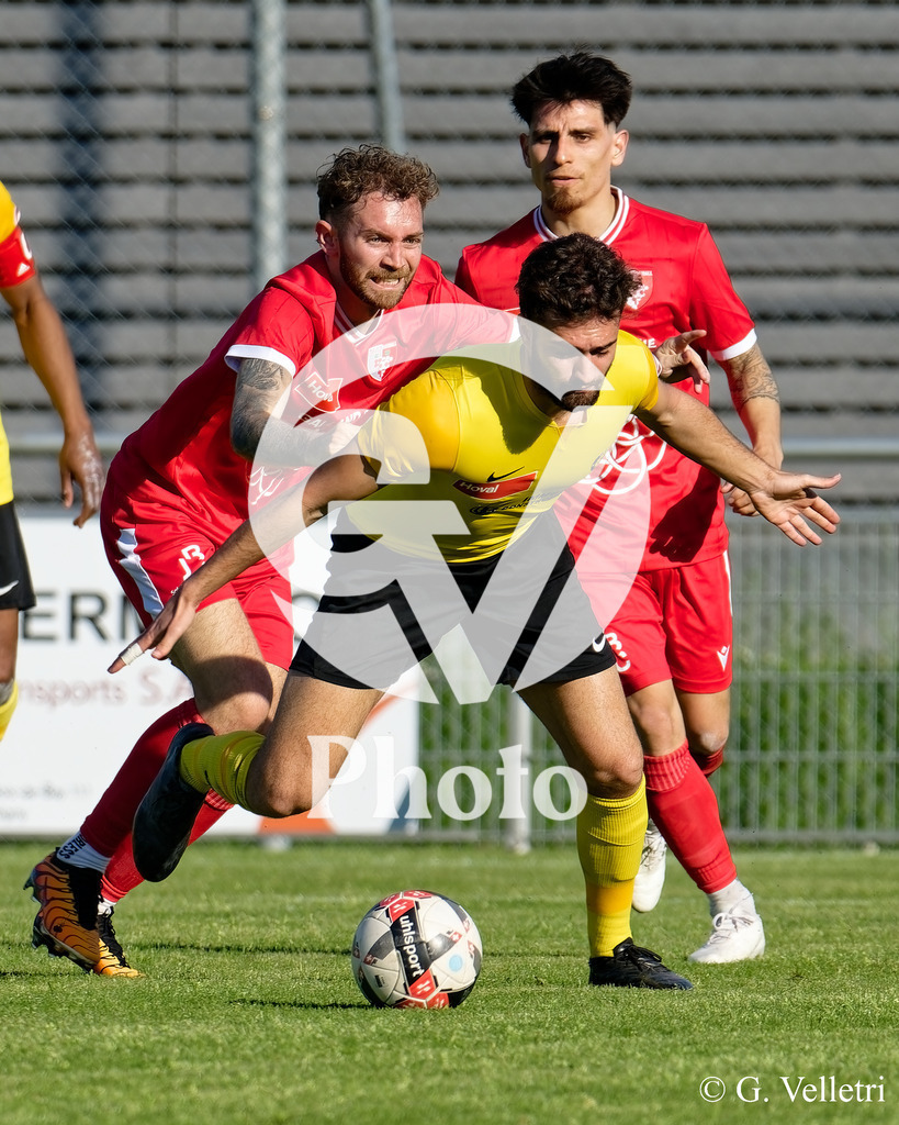 DSC_1654 | Velletri Photo