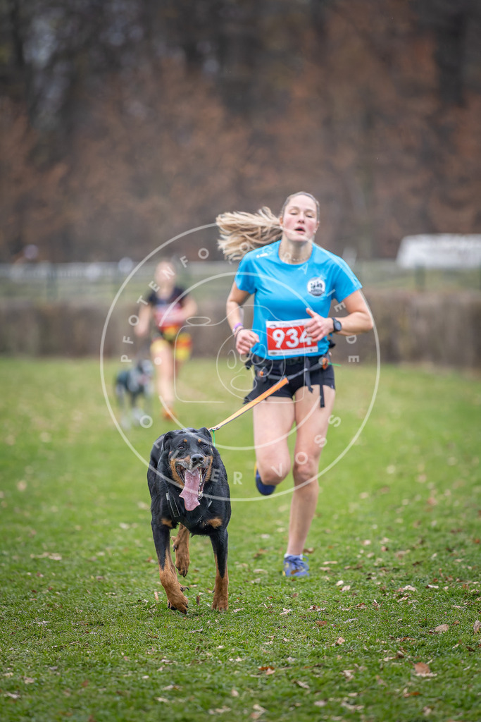 CaniXpix_DV3A7218 | Hundefotografie, Tierfotograf, Pfotenfotografie, Fotoshooting Hund, Hunde Portrait, Hundesport, Hundeportraits, Heideshooting, Hunde, Sportfotograf, Hundefotograf, Turnierhundsport, THS,  - Realisiert mit Pictrs.com