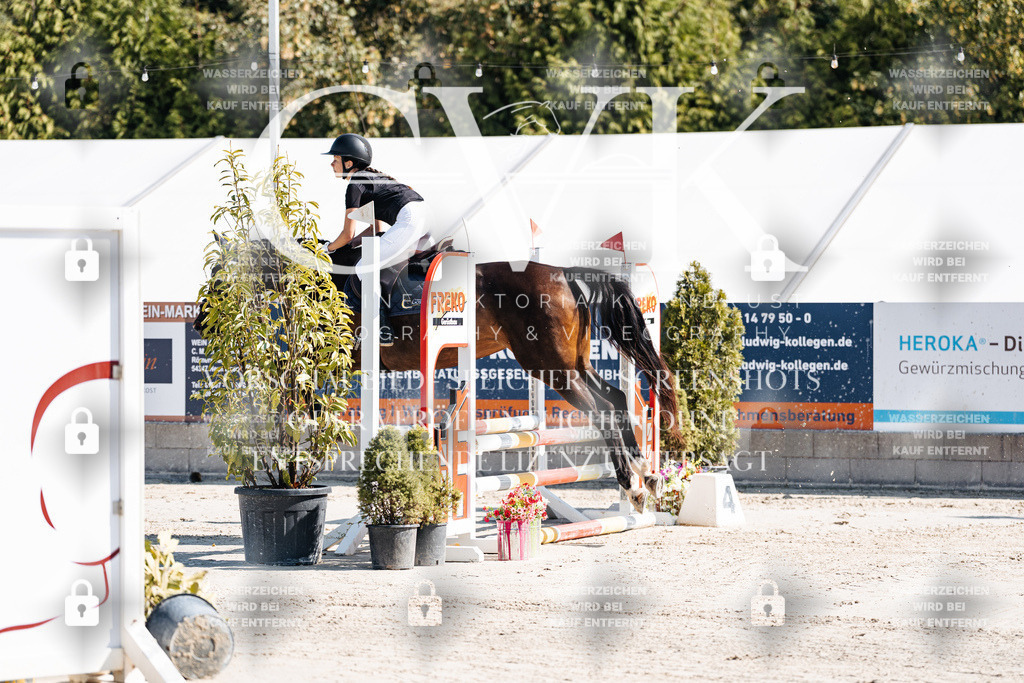 CK904985 | Turnierfotografie Pferdefotografie Trier Rheinland-Pfalz Pferdesport Reitsport Tierfotografie Sportfotografie Pferdevideo Pferdevideografie Equestrianvideography equestrianphotography  - Realisiert mit Pictrs.com