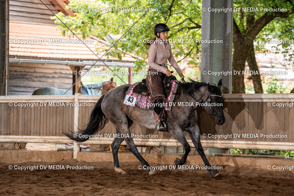 Erbach Tag 1-792 | dv-media-shop - Realisiert mit Pictrs.com