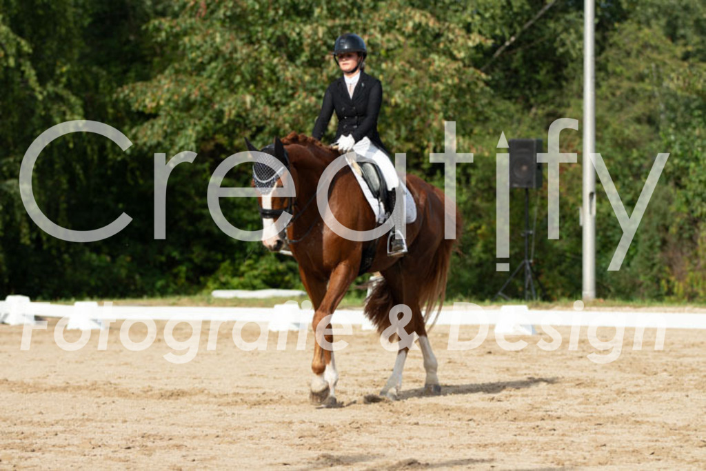 IMG_4246 | Creatify Fotografie