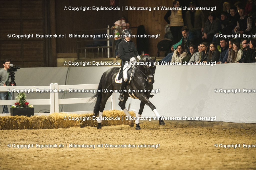 20240302_Hengstvorstellung_Marbach_TOMsPiC_1422-2 | equistock