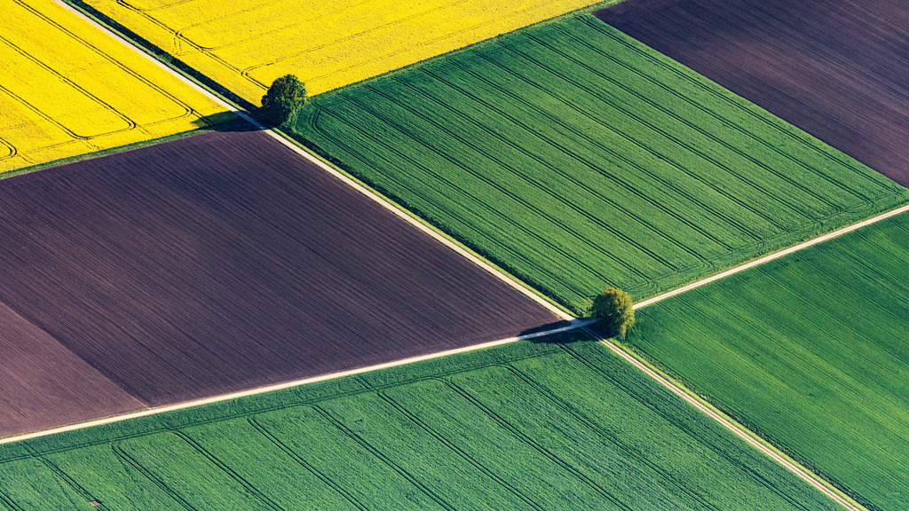 dr__0027252.jpg | WECHINGEN 14.05.2019 Baumreihe an einer Landstraße an einem Feldrand in Wechingen im Bundesland Bayern, Deutschland. // Row of trees on a country road on a field edge in Wechingen in the state Bavaria, Germany. Foto: Daniel Reiter