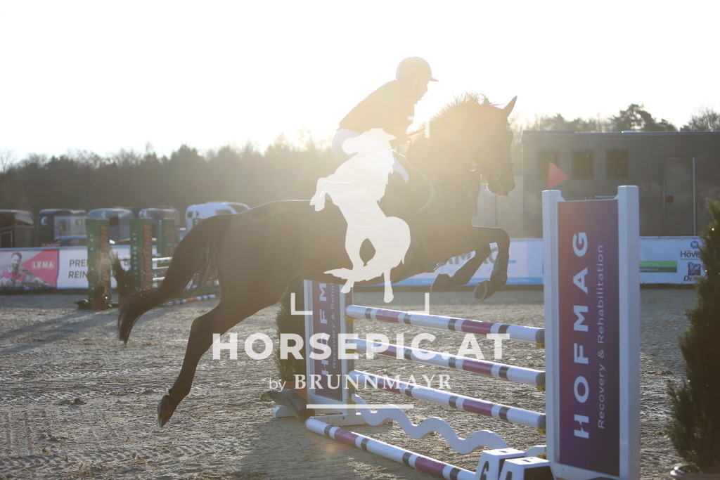 DL2Q7676 | Willkommen bei Brunnmayr - Design & Fotografie – Ihrem Spezialisten für Reitturniere und Pferdeveranstaltungen in Oberösterreich, Salzburg und Bayern! Seit über 17 Jahren sind wir leidenschaftlich dabei.