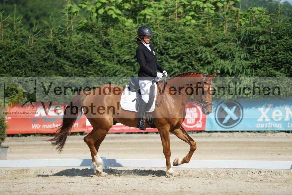 DSC01358 | equestrian-live-com
