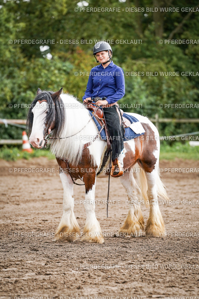 DSC07860 | Pferdegrafie