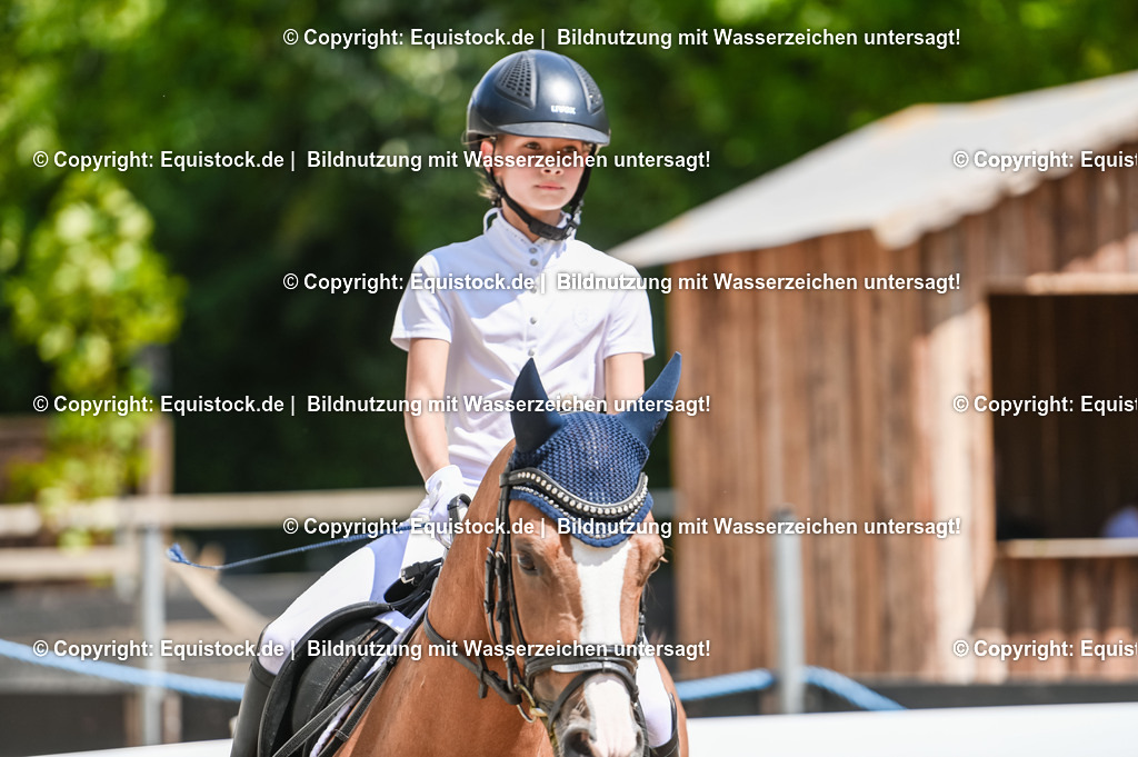 20230715_09_Dressur-WB_0287 | equistock