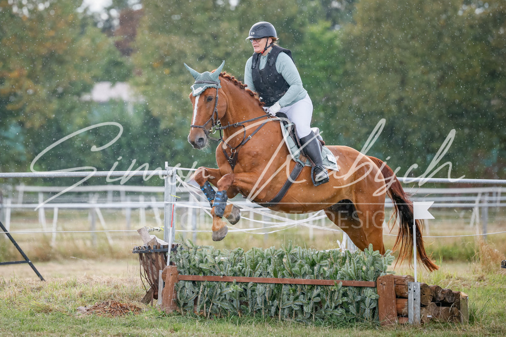 20250905-_3LI0755 | Tierfotografie Pferde, Hunde, Katzen, Haustiere.
Turnierfotografie Reitturniere, Reiten, Springreiten, Dressur in Hanau, dem Main-Kinzig-Kreis und dem Rhein-Main- Gebiet um Frankfurt