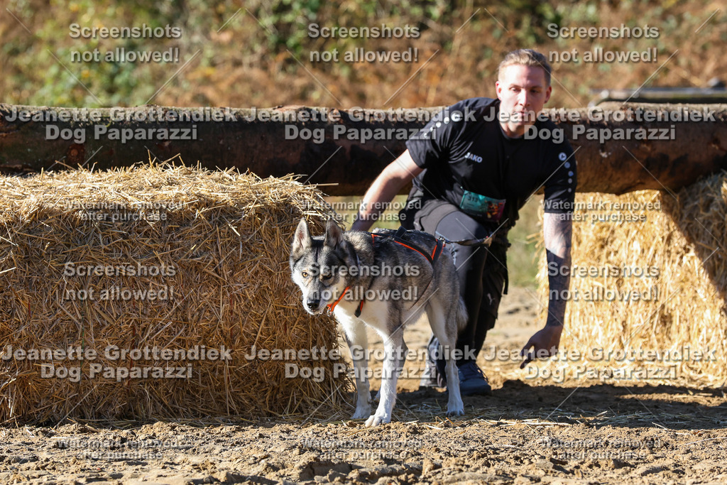 Dog Paparazzi - Strongdog 10-25-2405 | Dog Paparazzi Jeanette Grottendiek Fotografie & Videografie - Realisiert mit Pictrs.com